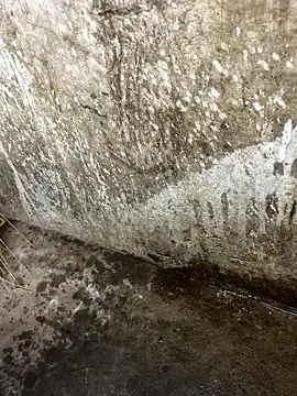 tamil000000 online show from 01-12-26, 01:05