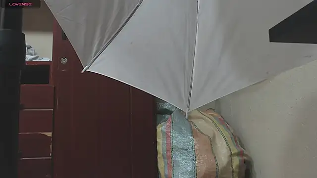 DIANATSS online show from 02-08-25, 11:45