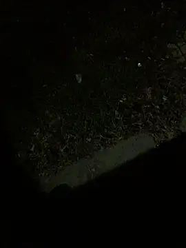 Snapshot of Nicusorescu26 chatting on 10-14-25, 03:18 Nicusorescu26 online show from 10-14-25, 03:18