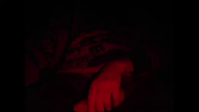 contemptumundi888 online show from 12-24-24, 09:55