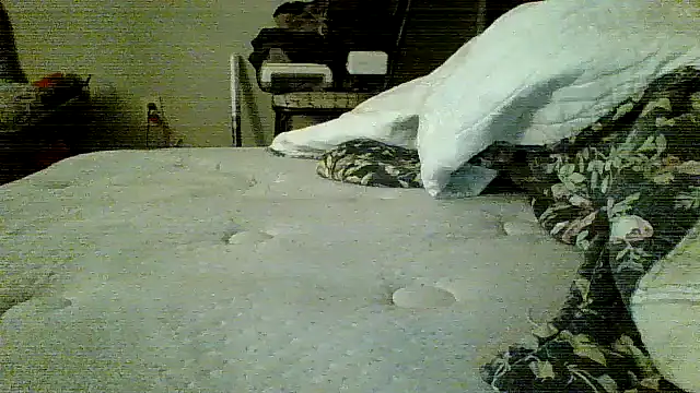 Jay81 online show from 01-19-26, 03:21