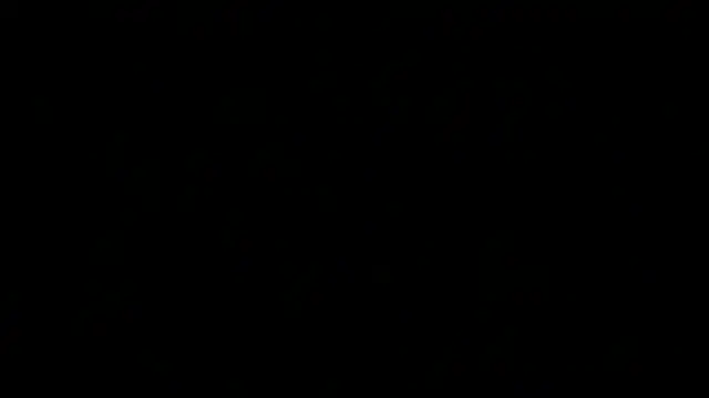 Snapshot of awesome_anna chatting on 03-19-25, 02:46 awesome anna online show from 03-19-25, 02:46