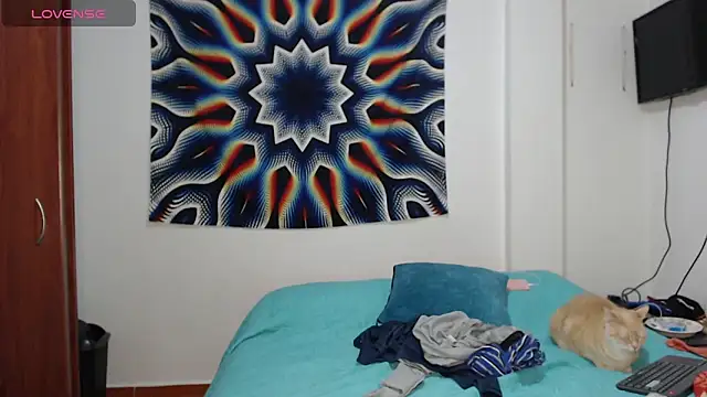 AshleyandTyler online show from 12-08-24, 03:43