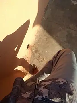 PracticalGum40 online show from 01-11-26, 03:33