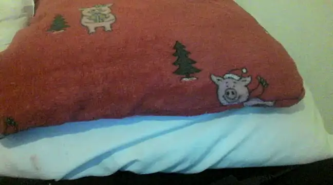 Snapshot of bunnyamy chatting on 12-05-24, 06:00 bunnyamy online show from 12-05-24, 06:00