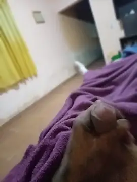 carloshot31 online show from 03-31-26, 08:48