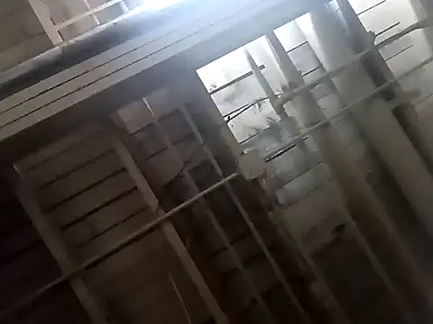 Snapshot of dvaughn3117 chatting on 02-07-25, 06:03 dvaughn3117 online show from 02-07-25, 06:03