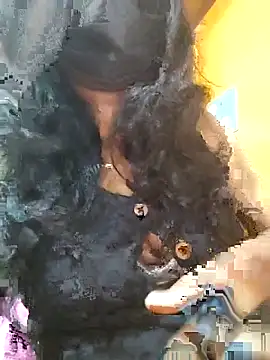 Tamillminnal online show from 09-13-25, 05:02