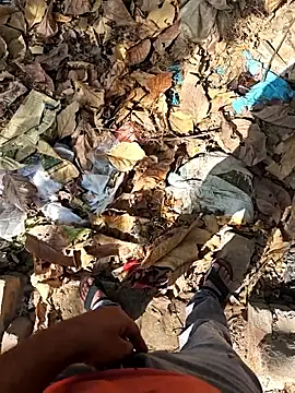 faaseel online show from 04-23-26, 09:41