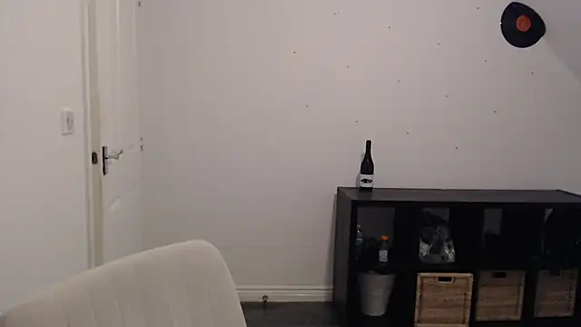 PrettyGinger online show from 12-30-24, 04:19