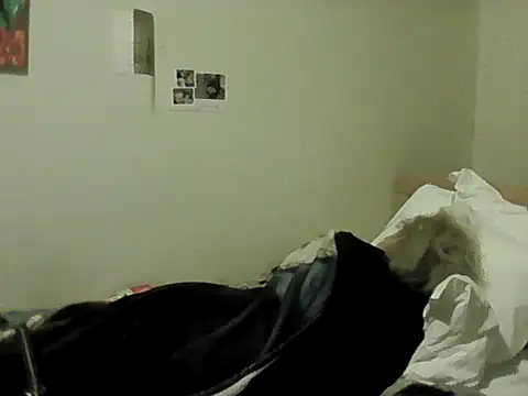 housewife shantie online show from 02-08-26, 08:56