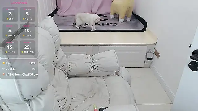 Tang-1314 online show from 02-05-25, 05:30