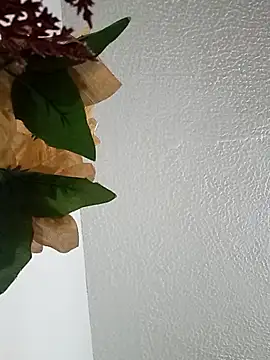 Naomy veracruz  online show from 02-24-26, 10:02