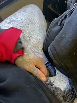 Snapshot of Fuckboy4public chatting on 12-29-24, 04:08 Fuckboy4public online show from 12-29-24, 04:08