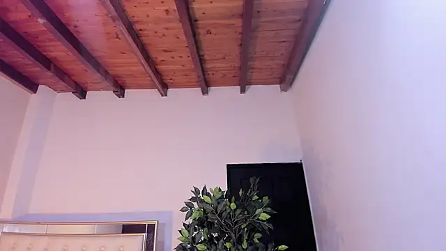 im sebaslopez online show from 01-17-26, 08:01