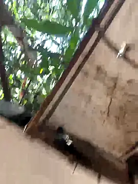 Morguisssz online show from 12-18-25, 06:36