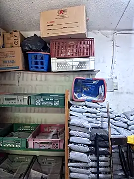 nidia2026 online show from 04-21-26, 01:06