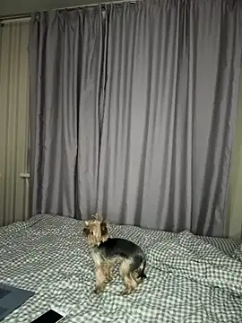 Cute Barbieee  online show from 12-06-24, 10:08