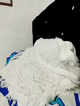 ElizabethWeil online show from 12-15-25, 03:16