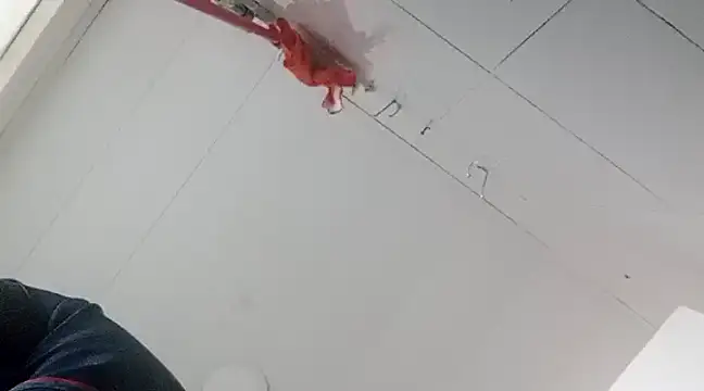 Darly Gomez online show from 01-02-25, 10:33