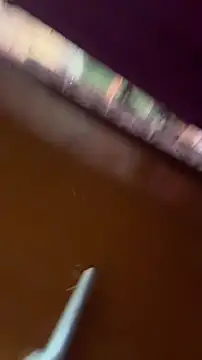 nick  yy online show from 02-19-26, 05:03