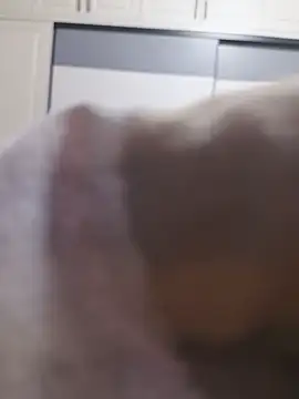 Snapshot of thanos65432 chatting on 02-20-25, 04:46 thanos65432 online show from 02-20-25, 04:46