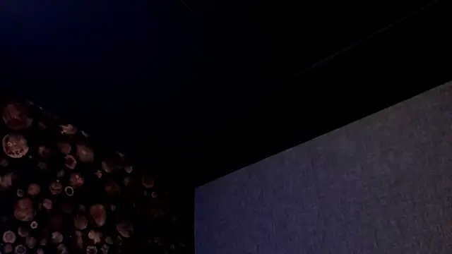 ArtemisaBlake online show from 03-18-25, 08:04