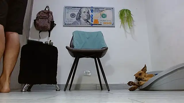 boss of cash online show from 06-04-26, 08:09