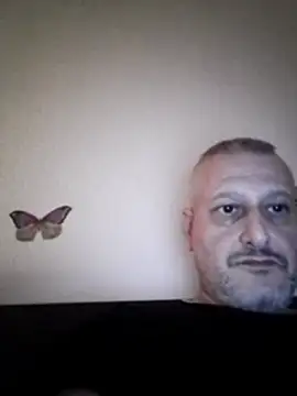 Husoban online show from 01-06-26, 05:49