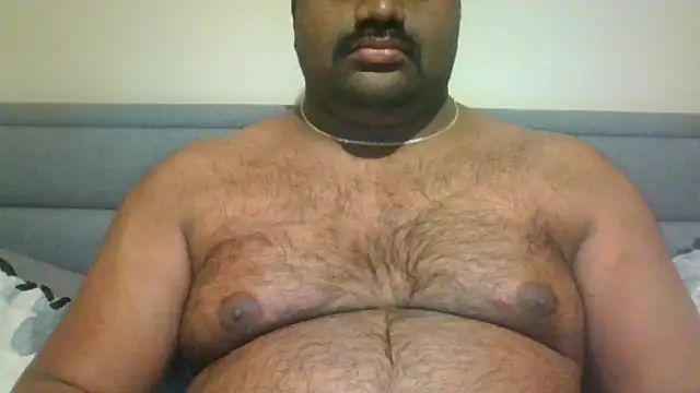 indianbearbot online show from 12-17-24, 08:54