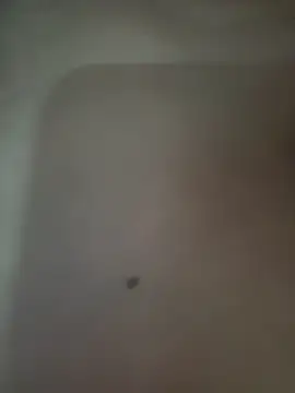 Snapshot of Akhi_Akshaya chatting on 01-06-25, 05:38 Akhi Akshaya online show from 01-06-25, 05:38