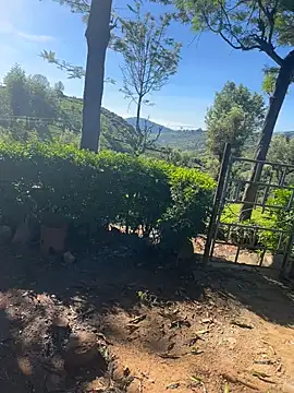 Hillz king 98 online show from 02-04-25, 03:54