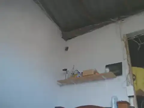 gatoalex89 online show from 01-15-25, 08:05