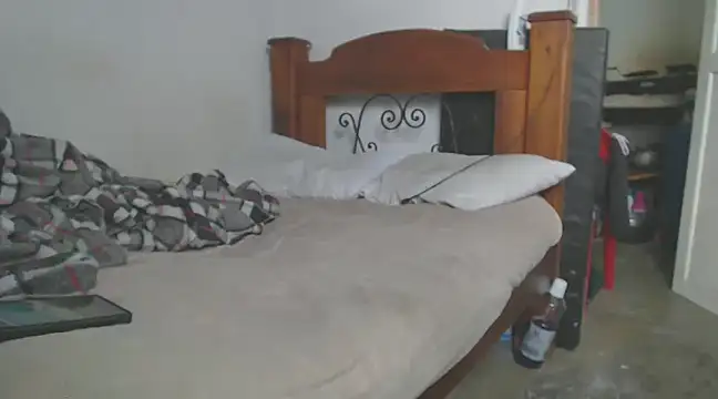 gatoalex89 online show from 03-13-25, 01:29