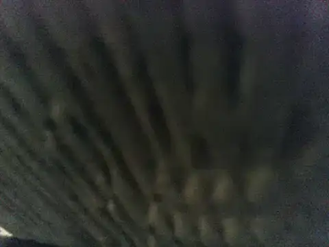 party51502 online show from 03-08-25, 07:20