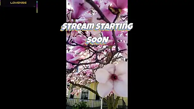 Snapshot of Hackensackneil chatting on 05-18-26, 01:28 Hackensackneil online show from 05-18-26, 01:28