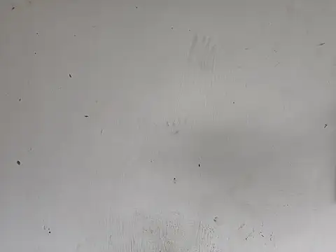 fs carioca online show from 12-02-25, 08:26