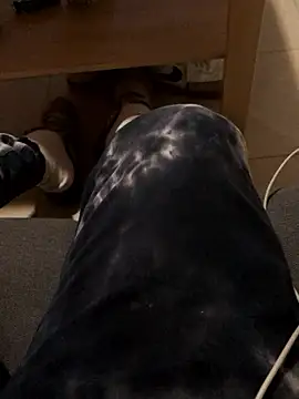 josueswvillaA1 online show from 01-12-26, 03:06