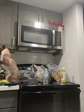 ParkerGYATT online show from 04-09-26, 12:54