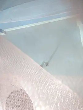 124pakhi online show from 01-12-26, 03:17