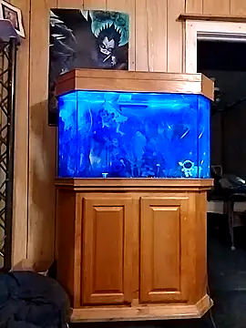 Rebeckalove online show from 02-16-25, 01:49