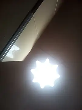 Lauren Amabel online show from 03-07-26, 09:23