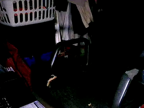 SergCarMX1 online show from 10-06-25, 08:50