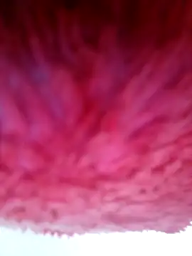 Snapshot of Samara-Bella chatting on 01-06-26, 05:22 Samara-Bella online show from 01-06-26, 05:22