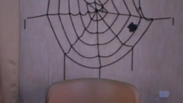 StefanyRousse online show from 10-24-25, 11:39