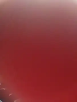 blondaf online show from 11-25-25, 05:29