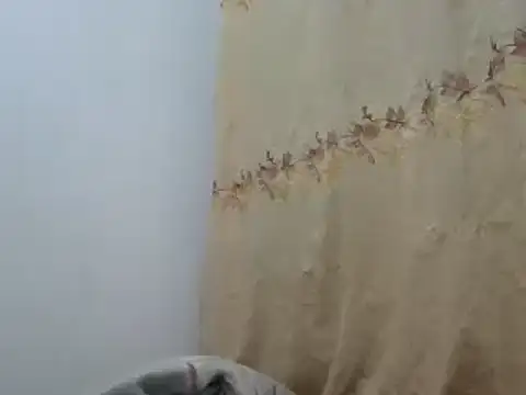 Snapshot of Sr_JakoXXXX chatting on 02-20-25, 07:55 Sr JakoXXXX online show from 02-20-25, 07:55