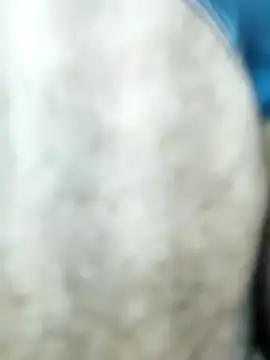 HGKNSS online show from 04-10-26, 06:34