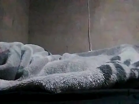 LaneYam online show from 03-24-26, 08:03