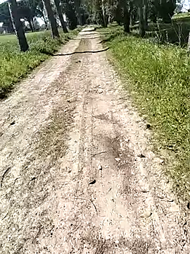 arveia online show from 04-04-26, 12:57